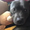 natasha_mcallister