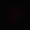 _emilie_madsen