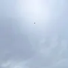 rsrtrg