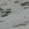 peepsuio