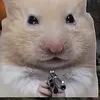 fabianfelipemonta