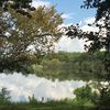 cat.lady.lake