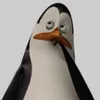 ....kowalski