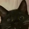 kiera_lee6