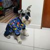 rubijurado1