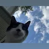 leahmary294