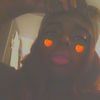 lovemenicolebaby