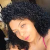 camilavernica