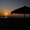 _tiktoklovers03