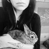 black.bunny.diary