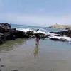 gato_rison22
