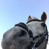 coolkent19