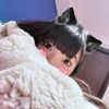 艾寶