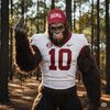 roll_damn_squatch