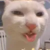 gabalosottk
