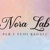 Nora Lab