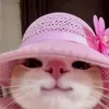 imshanegeronimo