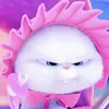 shiby.baby