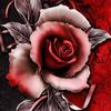 roses_lifes_18