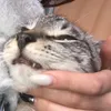 abr.kadabr