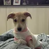 maggie_mba