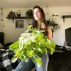 planter137