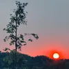 giahuy_0200
