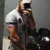 Alan Constantino