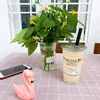 trasuadingtea.5.1