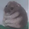 rat.poop.at.finest