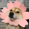 vivyenn_v