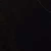 userse29
