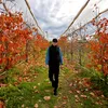 quoctrung_96