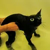 muci_1234