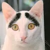 sebastianking307