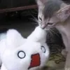 ishkwya