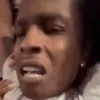 pjfree