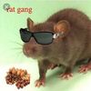 ratxgang