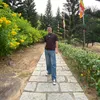 lapyen