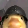 p0tat0_jes
