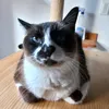 faithfulsoda