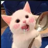 bphuongg.pth
