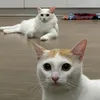 yuriphm