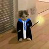 majo_patata28