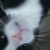 ines.kerim