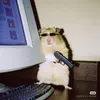 dannyjara