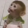 ju.istrd