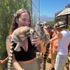 shaniasulter