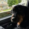 leahgiess