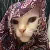 jncdngsn